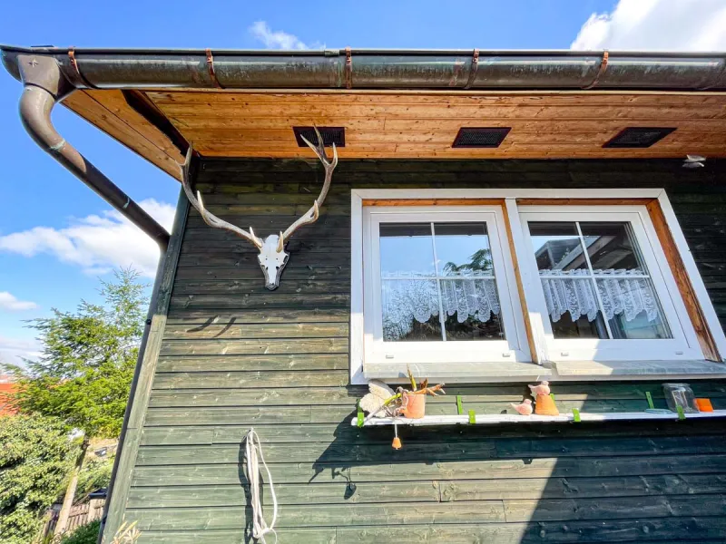 Detailansicht der grünen Holzfassade mit Geweih und weißen Fenstern
